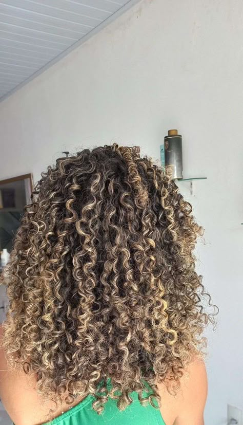 4c Natural Hair With Highlights, Highlits On Curly Hair, 3b Curly Hair Blonde Highlights, 3b Hair With Highlights, Honey Blonde Curls Highlights, Black Curly Hair With Highlights Blonde, Carmel Highlights On Brown Hair Curly Hair, Butterscotch Curly Hair, Highlight In Curly Hair