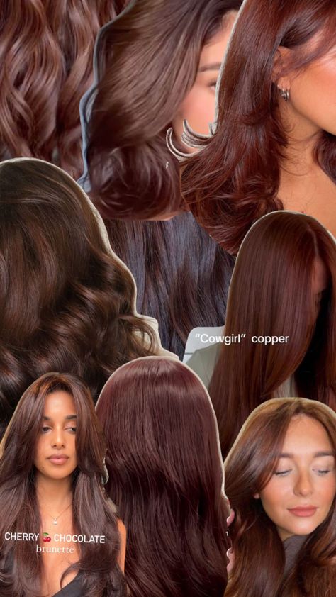 Reddish brown hair colour Brown With Red Undertones Curly Hair, Brownish Reddish Hair Color, Reddish Brown Hair Colour, Brown Curly Hair Color Ideas, Short Cherry Brown Hair, Cherry Brown Short Hair, Brown Hair For Brown Eyes, Dark Brown Cinnamon Hair Color, Brown Girl Hair Color Ideas