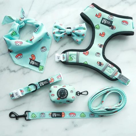 Pet Accessories Diy, Dog Accesories, Pet Harness, Labradoodle, Dog Harness, Dog Accessories, Collar And Leash, Pet Shop, The Dog