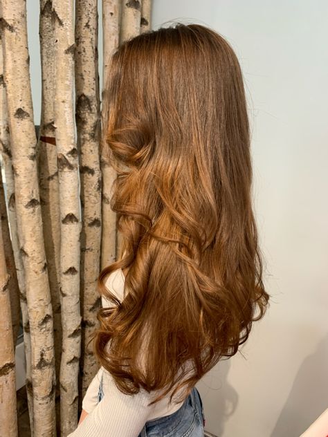 Golden Chestnut Hair, Long Golden Brown Hair, Caramel Gold Hair, Brown Hair With Extensions, Honey Colored Hair Caramel, Light Amber Brown Hair, Swedish Hair, Toffee Brown Hair, Chestnut Brown Hair Color