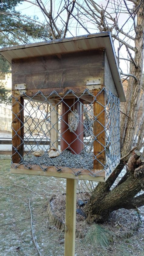 Wildlife Garden Design, Diy Backyard Projects, Caged Bird Feeders, Backyard Envy, Backyard Birds Sanctuary, Backyard Birds Feeders, Beautiful Environment, Squirrel Proof Bird Feeders, Birdhouses Bird Feeders