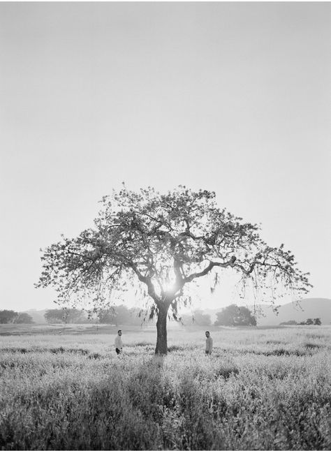 This is where I want to be...(photo cred: Jose Villa + Joel Serrato captured by Elizabeth Messina) Modern Fairy, Elizabeth Messina, Anniversary Photography, Jose Villa, Wedding Party Planning, Weeping Willow, Black And White Photograph, Cute Wedding Dress, Pic Pose