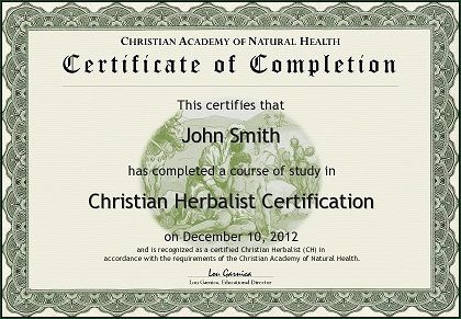 Christian Natural Health Network Christian Herbalist, Human Muscular System, Plant Lessons, Human Respiratory System, Human Nervous System, Natural Decongestant, Human Digestive System, Herbal Medicine Recipes, Anatomy Lessons