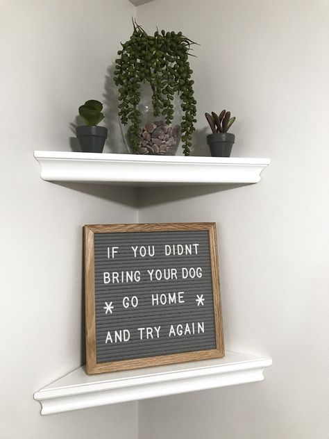 #wordboard #dogs #letterboard #doglover Word Board, Letter Boards, Letter Board, Dog Lovers, Dogs