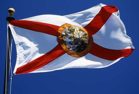 Florida Bill Would Virtually Nullify All Federal Gun Laws Florida State Flag, Us States Flags, Florida Flag, Flag Store, Flying High, U.s. States, State Of Florida, Sunshine State, State Flags