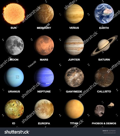 A rendered Image of the Planets and some Moons of our Solar System with captions. 3d Solar System, Uranus Planet, Planet Pictures, Planet Project, 8 Planets, 9 Planets, Solar System Art, Solar System Projects, Planet Colors