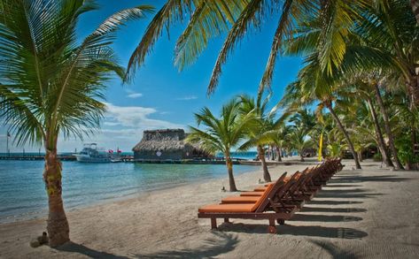 15 Best All-Inclusive Resorts in Belize - The Crazy Tourist Belize Barrier Reef, Belize Beach, Belize Resorts, Belize Vacations, Best All Inclusive Resorts, Caribbean Culture, Caribbean Beaches, Inclusive Resorts, Best Resorts