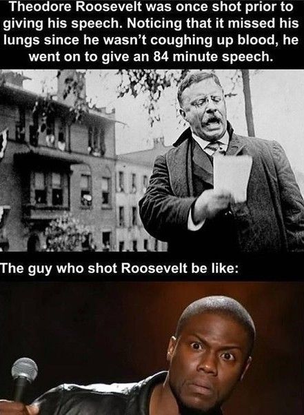 History Nerd Humor, History Memes Funny, History Funny, Historical Humor, History Jokes, History Nerd, Nerd Humor, History Humor, Funny Images Laughter