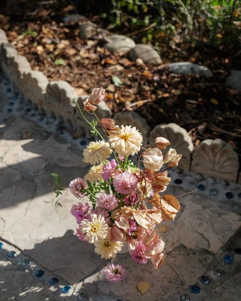 We still have dahlias and zinnias in the garden but it’s the golden fall after all. #garden #autumn #fallvibes #fallwedding #weddingflorals #losolivos #santaynezwedding #santaynezflorist Santa Ynez Wedding, Santa Ynez, Fall Vibes, In The Garden, Dahlia, The Golden, Fall Wedding, Floral Wedding, The Garden