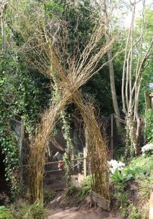 coyote willow wedding arch - Ecosia - Images Bean Poles, Chicken Barn, Wedding Ceremony Arch, Pole Beans, Diy Wooden Projects, Modern Planters, Plant Supports, Brooms, Garden Structures