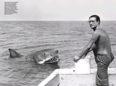 New York Yacht Club, Jaws 1975, Summer Boating, Jaws 2, Roy Scheider, Jaws Movie, Cruise Boat, Celebrity Photography, Iconic Images