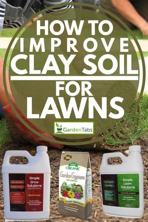 How To Improve Clay Soil For Lawns. Article by GardenTabs.com #garden #gardening #gardendesign #gardenideas #gardeningtips Amending Clay Soil, Aerate Lawn, Diy Lawn, Lawn Care Tips, Garden Help, Clay Soil, Garden Photography, Tree Roots, Green Lawn