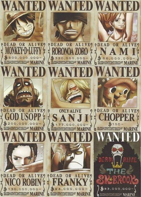 los personajes seran llevados a una sala de cine para reaccionar a un… #fanfiction #Fanfiction #amreading #books #wattpad Brook One Piece Alive, Wanted One Piece, Soul King, Photo Manga, One Piece Bounties, Anime Disney, One Piece Figure, Wanted Poster, One Piece Crew