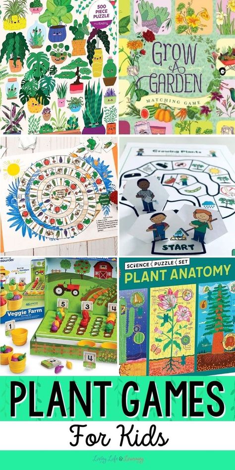 Plant Games for Kids Kindergarten Science Curriculum, Kindergarten Science Experiments, Botany Lessons, Kindergarten Science Activities, Plant Lessons, Plant Activities, Plant Games, Learning New Things, Science Games