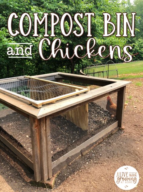 Backyard Compost Bin, Chicken Coop With Compost Bin, Compost Bin In Chicken Run, How To Make Your Own Compost Bin, Chicken Coop Compost, Compost Pile In Chicken Run, Compost In Chicken Run, Chicken Coop Compost Bin, Chicken Composting System