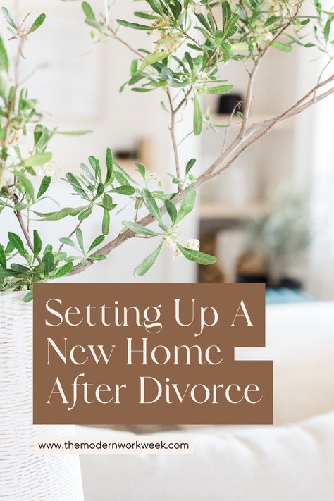 Small leaf indoor plant branch in the foreground with a tidy home in the back with the blog title 'Setting Up a New Home After Divorce' in white serif letters on a tan brown highlighted background