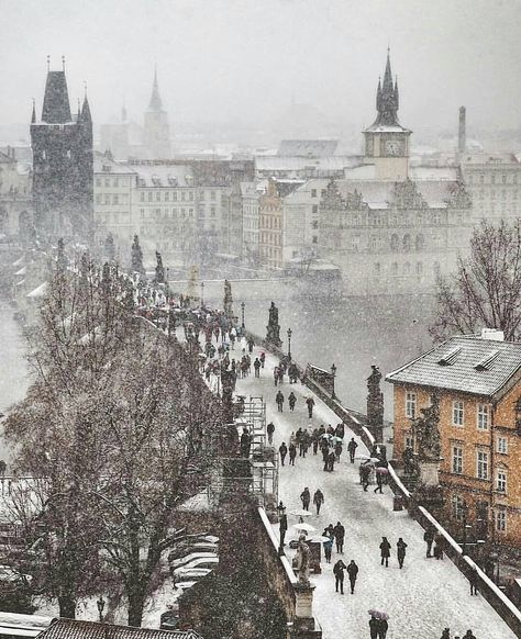 Living Destinations on Instagram: “Snowfall at Charles Bridge ~ Prague, Czech Republic  Photo: @praguestagirl Amazing! ➡ Founders: @ournextflight ⬅ 🚩 Have you ever visited…” Best Travel Insurance, Best Travel Credit Cards, Christmas Markets Europe, Prague Castle, Europe Photos, Europe Map, Prague Czech Republic, Prague Czech, Dream Holiday