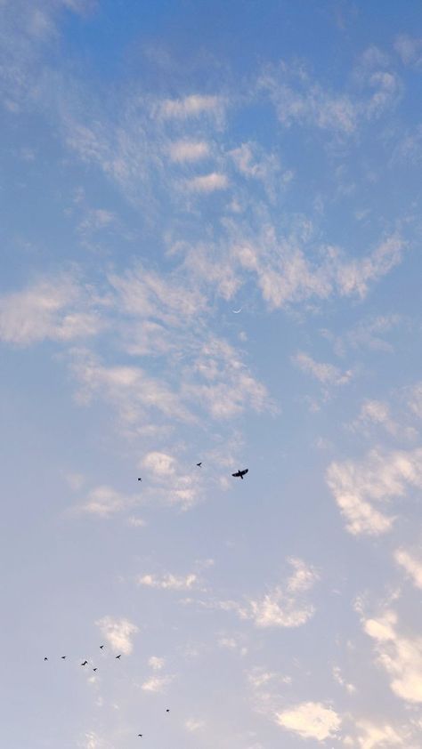 Life Success Quotes, Rainy Sky, Birds Photography Nature, Sky Quotes, Love Sky, Birds Photography, Birds In The Sky, Sky Photography Nature, Sky Pictures