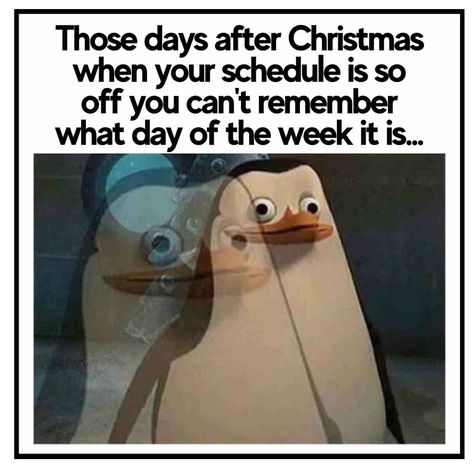 Dry Humor Memes, Introvert Meme, Introvert Vs Extrovert, Camera Quotes, The Power Of Introverts, New Year Meme, Day After Christmas, Off Campus Series, Love Memes Funny