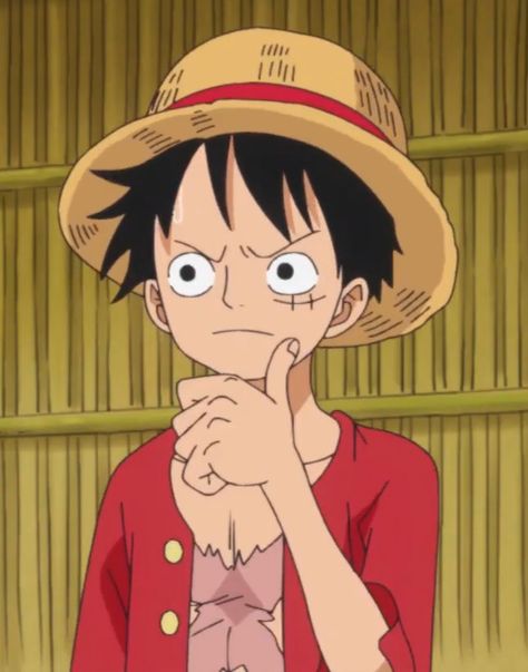 Luffy Thinking, The Straw Hat Pirates, Straw Hat Pirates, Monkey D Luffy, Straw Hat, Straw, One Piece