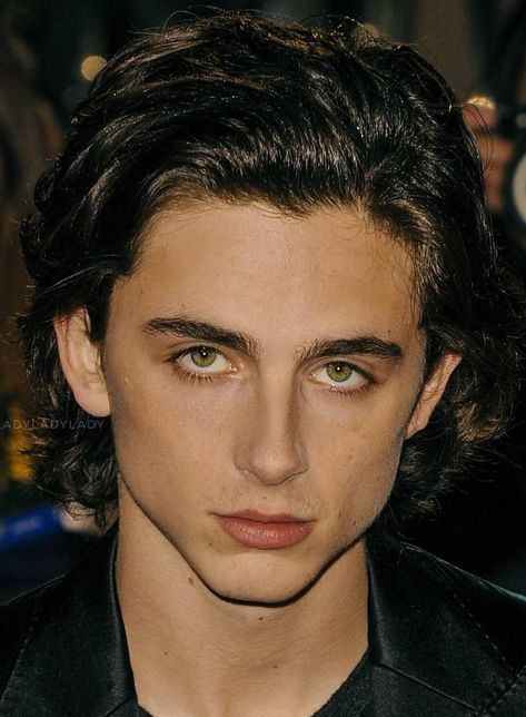 Male Reference Face, Timmy T, Regulus Black, Cute Actors, Timothee Chalamet, A Face, Comme Des Garcons, Kylie Jenner, Celebrity Crush