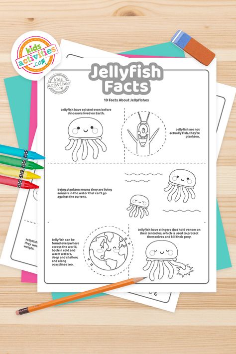 Fun Jellyfish Facts for Kids to Print & Play Jellyfish Facts For Kids, Lightning Ocean, Jellyfish Kids, Jellyfish Facts, Fish Theme, June Bug, Live Animals, Facts For Kids, Jelly Fish