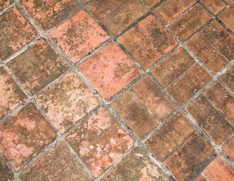 How To Clean Pavers With Bleach | JS Brick Pavers Red Brick Paving, Cleaning Pavers, Concrete Paving Slabs, Cement Pavers, How To Clean Brick, Brick Sidewalk, Clean Patio, Brick Paver Patio, How To Install Pavers