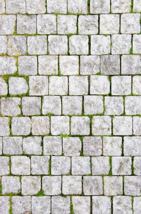 Stone pavement. With green grass. Texture or background , #affiliate, #green, #pavement, #Stone, #background, #Texture #ad Green Grass Texture, White Bricks, Paving Texture, Grass Texture, Stone Pavement, Street Building, Stone Decoration, Floor Texture, Tile Texture