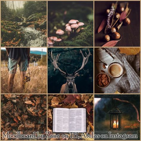 Deer Moodboard, Nature Moodboard, Colour Moodboard, Fursona Ideas, Fantasy Aesthetics, Make Your Own Character, Forest Deer, Adopt Idea, Moodboard Ideas