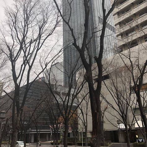 Cloudy Day, Trees, Building, Grey