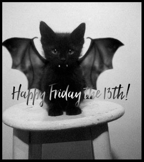 It’s Friday 13th, Happy Friday The 13th Quotes, Friday The 13th Black Cat, Friday The 13th Funny Humor, Friday The 13th Quotes Funny, Happy Friday The 13th Funny, Friday The 13th Humor, Friday The 13 Quotes Funny, Funny Happy Friday