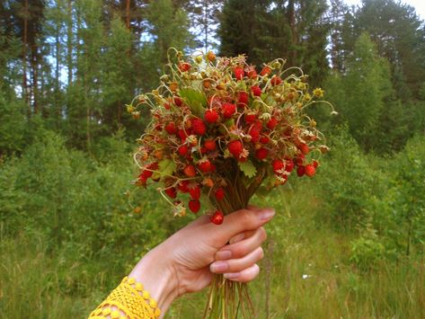 Forest Strawberries, Strawberry Witch, Book Pic, Cottagecore Forest, Adventure Party, Books Ideas, Forest Core, Dream Date, Witch Aesthetic