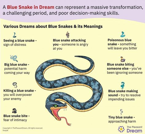 Snake Dream Meaning, Ignoring Someone, Dream Meaning, Blue Snake, Decision Making Skills, Health Heal, Dream Meanings, Emotional Health, Decision Making