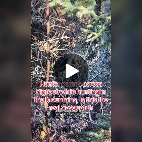 Hunter comes across #BIGFOOT while hunting in the mountains is this the real Cryptid Hunter, Real Bigfoot, In The Mountains, The Mountain, Twitter Card, Twitter Image, Hunting