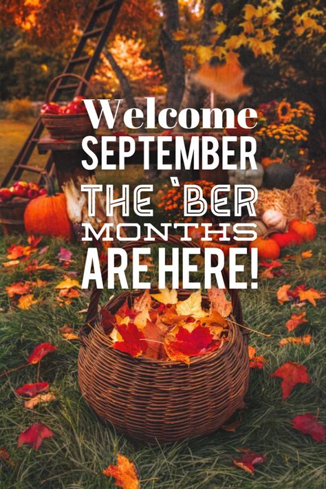 Autumn To Do List, The Ber Months, Ber Months, Fall Months, Fall Mood Board, Autumn Magic, Welcome Fall, Autumn Scenery, Harvest Season