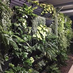 Vertical Garden Pots, Vertical Garden Wall Planter, Vertical Garden Planters, Wall Fence, Vertical Garden Wall, Vertical Garden Diy, Walled Garden, Wall Garden, Garden Kits