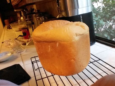 Cottage Cheese Bread Machine Bread Recipe Cottage Cheese Bread Machine, Cottage Cheese Bread Machine Recipe, Cottage Cheese Bread Recipe, Bread Machine Recipes Healthy, Cottage Cheese Bread, Bread Machine Bread, Bread Machine Recipes Sweet, Recipe Calculator, Easy Bread Machine Recipes