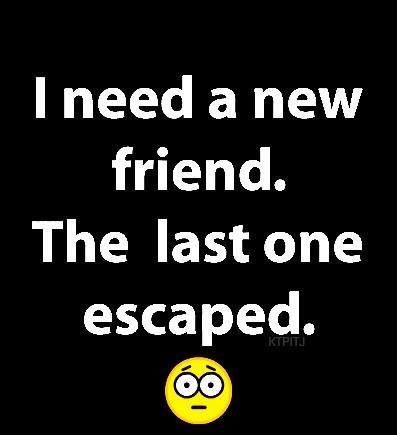 I need a new friend. The last one escaped funny quotes friend funny quotes humor funny pic Hood Quotes, African Quotes, Expression Quotes, Coffee Quotes Funny, Funny Expressions, Friendship Quotes Funny, Funny Cartoon Quotes, Bad Jokes, Cartoon Quotes