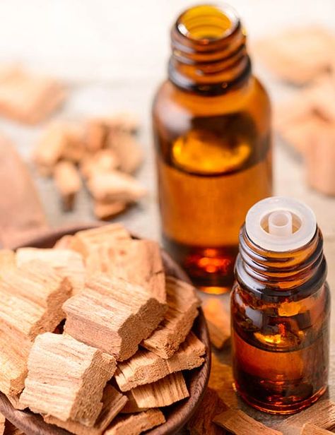 Sandalwood Essential Oil Sandalwood Aesthetic, Noah Walker, Natural Wrinkle Reducer, Myrtle Essential Oil, Juniper Oil, Dark Elbows, Top Essential Oils, Cypress Oil, Witch Spirituality