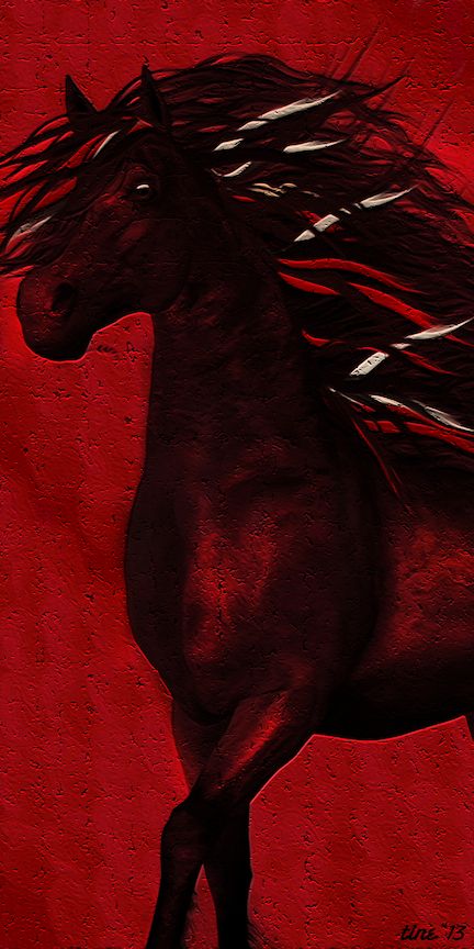 . Black Paint Horse, Red Horse Painting, Black Horse Painting On Canvas, Diamond Cowgirl, Equine Black Background, Horses Dark Aesthetic, Chariots Of Fire, Red Images, Red Horse