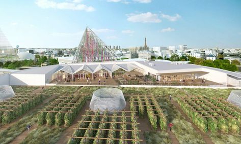 The World’s Largest Urban Farm Is Set to Open in Paris - Modern Farmer Paris Rooftops, Agricultural Development, Urban Agriculture, Urban Farm, Welcome To The Future, Urban Oasis, Sense Of Place, Urban Farming, Different Plants