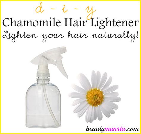 Chamomile Tea For Hair, Chamomile Hair Lightener, Green Tea Hair Spray, Hair Lightener Spray, Diy Hair Lightening Spray, Camomile Oil, Lemon Hair Lightening, Chamomile Shampoo, Diy Hair Growth Spray