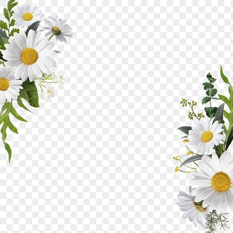 Daisy Border, Bouquet Frame, Flower Bouquet Png, Frame Sticker, Border Png, Gig Poster, Png Floral, Flower Daisy, Frame Png