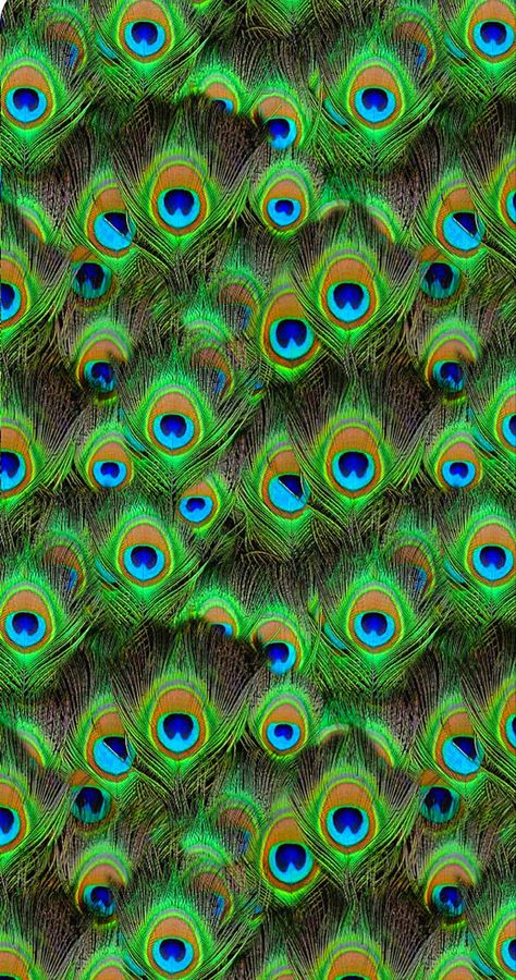 Color Names Chart, Peacock Feather Art, Feather Background, Feather Logo, Peacock Wallpaper, Optical Illusion Wallpaper, Feather Texture, Art Kits For Kids, Feather Wallpaper