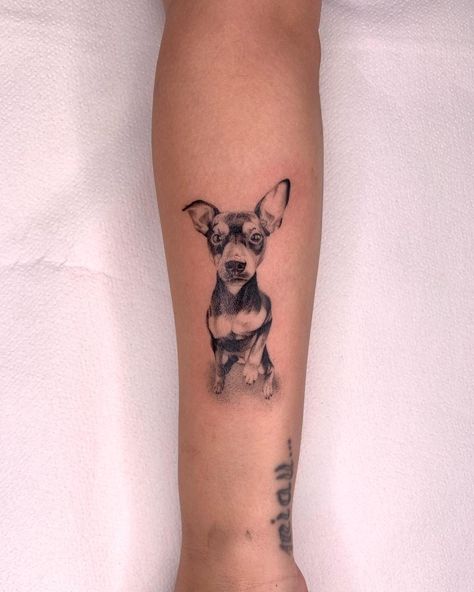 Min Pin Tattoo, Fang Tattoo, Feather Tattoo Meaning, Small Dog Tattoos, Minimal Tattoo Designs, Minimal Tattoo Ideas, Dachshund Tattoo, Animal Tattoo Ideas, Min Pin