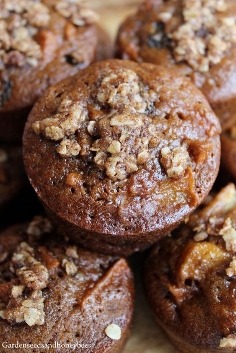 Fresh Apple Raisin Muffins - Garden Seeds and Honey Bees Macintosh Apple Recipes, Oatmeal Raisin Muffins, Raisin Muffins, Apple Muffin Recipes, Macintosh Apple, Spice Muffins, Healthy Muffin Recipes, Apple Muffins, Apple Dessert Recipes