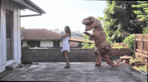 Macarena Dancing GIF - Macarena Dancing Dinosaur - Discover & Share GIFs Dancing Dinosaur, Moving Gif, Move In Silence, Share Gif, Dancing Gif, Daily Funny, Moving Pictures, Top Videos, Dance Moves