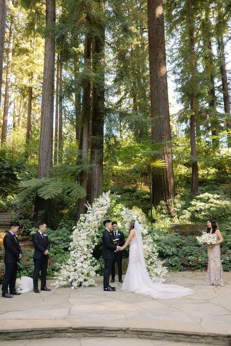 Wedding ceremony at Nestldown. The most stunning redwoods wedding at Nestldown in Los Gatos, California. Discover wedding venues redwoods, bay area wedding venues, los gatos wedding, redwoods wedding ideas, & redwoods forest wedding. Book Bry for a romantic Bay Area wedding by heading to brysphotography.com! Wedding Redwoods, Nestldown Wedding, Redwoods Wedding, Redwood Forest Wedding, Bay Area Wedding Venues, Redwood Wedding, Santa Cruz Mountains, Bay Area California, Lush Forest