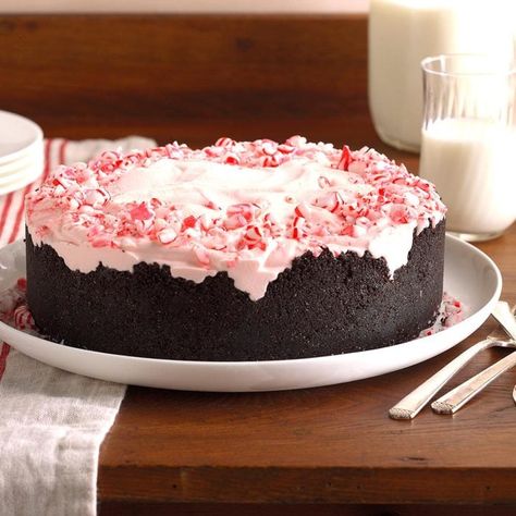 Peppermint Cake Roll, Peppermint Recipes Desserts, Mint Chocolate Desserts, Candy Cane Dessert, Cheesecake With Chocolate, Hot Fudge Topping, Peppermint Dessert, Fudgy Cake, Mint Desserts