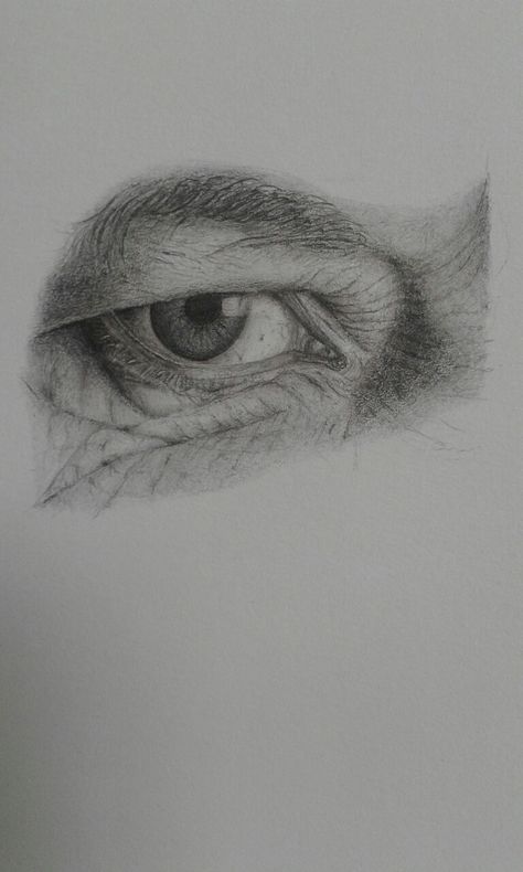 Eye Base Drawing, Drawing Ideas Eyes, Drawing Wrinkles, Pencil Portrait Drawing, Base Drawing, Eyes Artwork, 3d Art Drawing, Eye Sketch, Eye Base